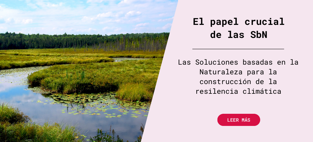 El papel crucial de las Soluciones basadas en la Naturaleza en la construccin de la resiliencia climtica en Europa